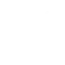 Professional Photography