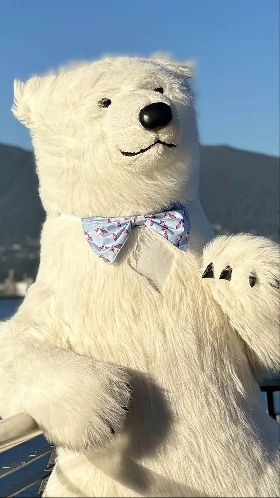 Polar Bear performer outdoors